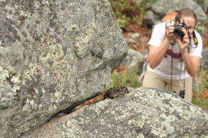 Melissa Amarello Photographing Rattlesnake